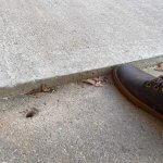 Pločnik Savska Zagreb