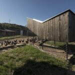 Kokošvaroš | foto: Studio SKROZ