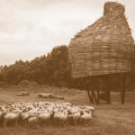 Same as it Ever Was, Promatračnica Čigoč