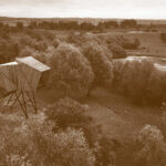 Same as it Ever Was, Promatračnica Repušnica