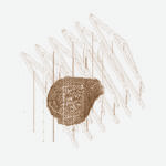 Same as it Ever Was aksonometrija paviljona