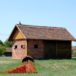 Đurđevac pijetao na kući