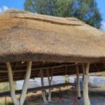 Iz arhive Stjepana Šalamona