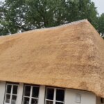 Iz arhive Stjepana Šalamona